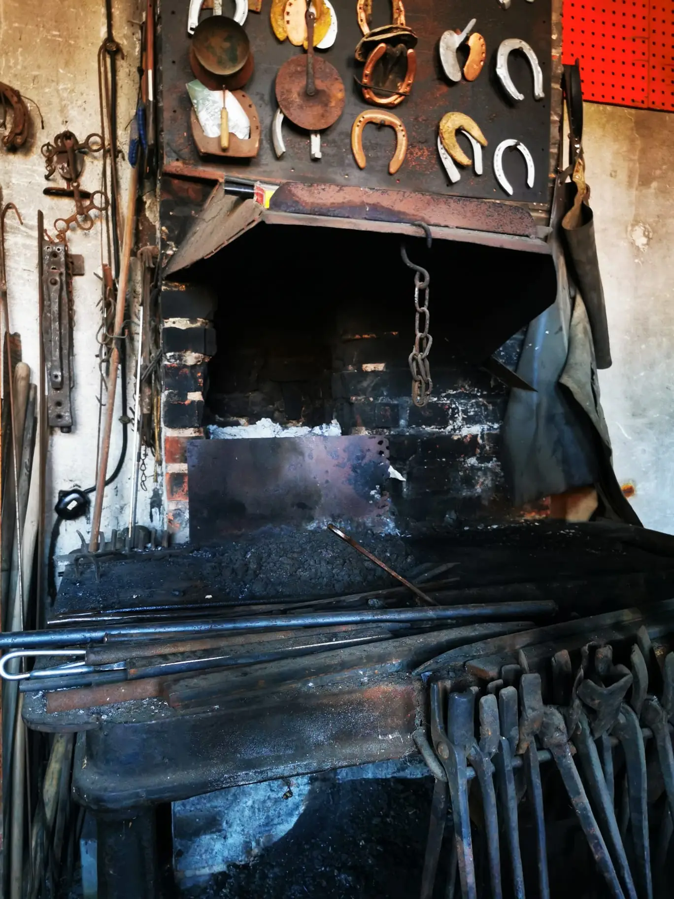 whatsapp image 2026 03 04 at 11.48.55